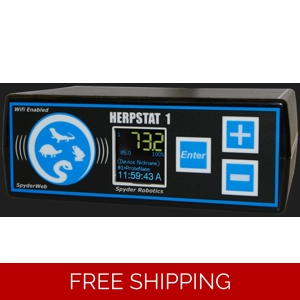 Herpstat 1 SpyderWeb